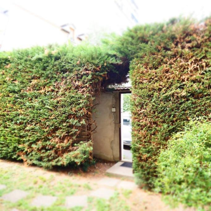Maison Faure - Centre Ville - Jardin - Garage Βισύ Εξωτερικό φωτογραφία